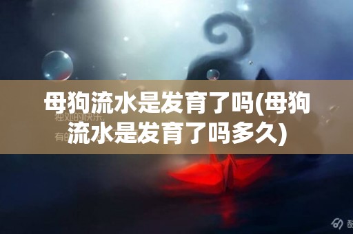 母狗流水是發育了嗎(母狗流水是發育了嗎多久)