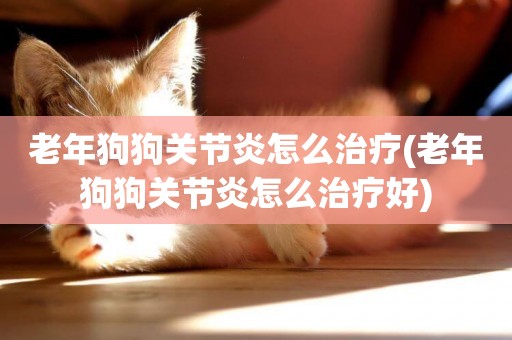 老年狗狗關節炎怎么治療(老年狗狗關節炎怎么治療好)
