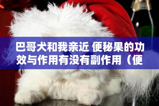 巴哥犬和我親近 便秘果的功效與作用有沒有副作用（便秘果的功效與作用是禁忌的） 