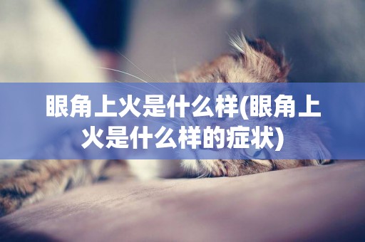 眼角上火是什么樣(眼角上火是什么樣的癥狀)