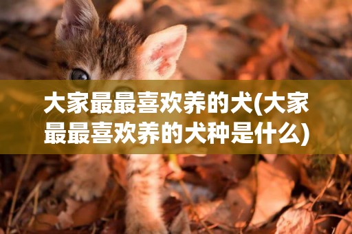 大家最最喜歡養的犬(大家最最喜歡養的犬種是什么)