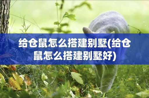 給倉鼠怎么搭建別墅(給倉鼠怎么搭建別墅好)