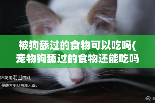 被狗舔過的食物可以吃嗎(寵物狗舔過的食物還能吃嗎)