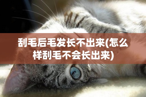 刮毛后毛發長不出來(怎么樣刮毛不會長出來)