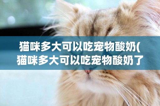 貓咪多大可以吃寵物酸奶(貓咪多大可以吃寵物酸奶了)