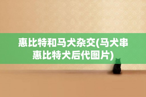 惠比特和馬犬雜交(馬犬串惠比特犬后代圖片)