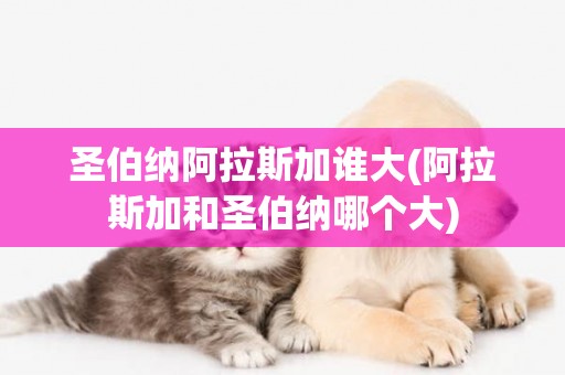 圣伯納阿拉斯加誰大(阿拉斯加和圣伯納哪個大)
