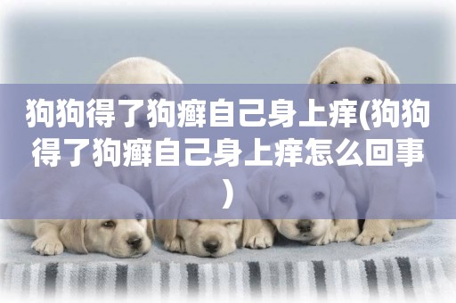 狗狗得了狗癬自己身上癢(狗狗得了狗癬自己身上癢怎么回事)