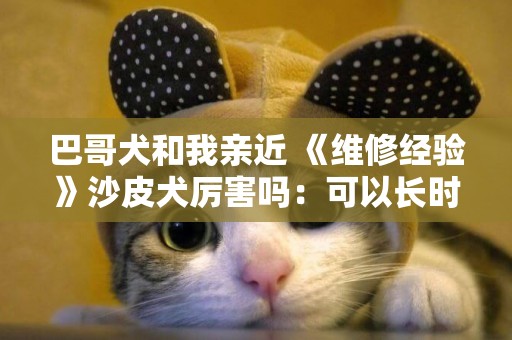 巴哥犬和我親近 《維修經驗》沙皮犬厲害嗎：可以長時間連續攻擊 
