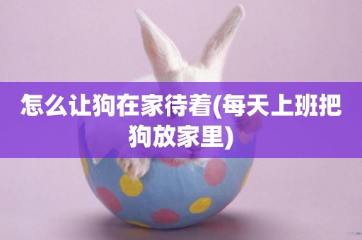 怎么讓狗在家待著(每天上班把狗放家里)