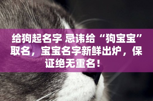 給狗起名字 忌諱給“狗寶寶”取名，寶寶名字新鮮出爐，保證絕無重名！ 