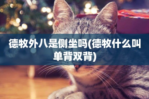 德牧外八是側坐嗎(德牧什么叫單背雙背)