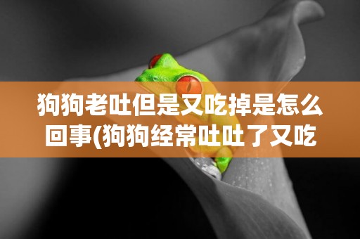 狗狗老吐但是又吃掉是怎么回事(狗狗經常吐吐了又吃回去了是咋回事)