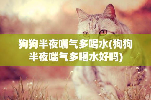 狗狗半夜喘氣多喝水(狗狗半夜喘氣多喝水好嗎)