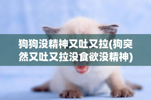 狗狗沒精神又吐又拉(狗突然又吐又拉沒食欲沒精神)