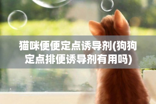 貓咪便便定點誘導劑(狗狗定點排便誘導劑有用嗎)