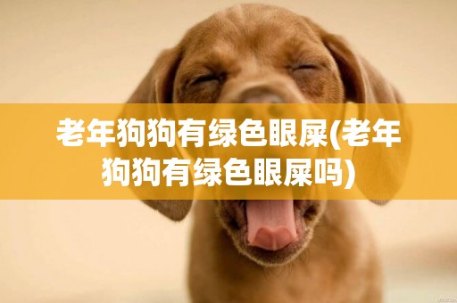老年狗狗有綠色眼屎(老年狗狗有綠色眼屎嗎)