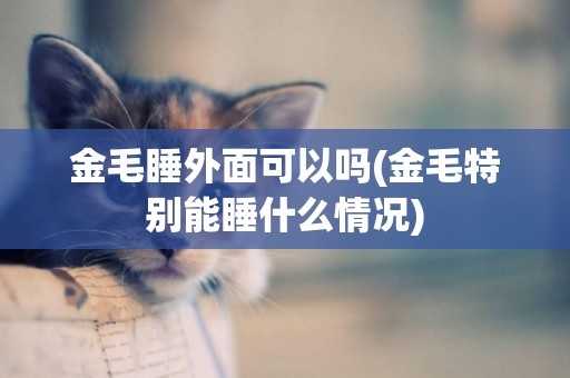 金毛睡外面可以嗎(金毛特別能睡什么情況)