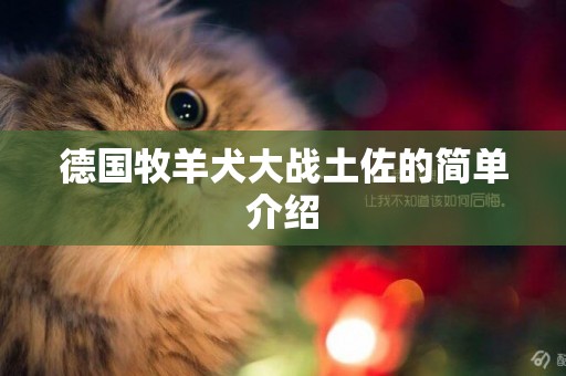 德國牧羊犬大戰土佐的簡單介紹