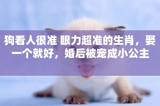 狗看人很準 眼力超準的生肖，娶一個就好，婚后被寵成小公主 