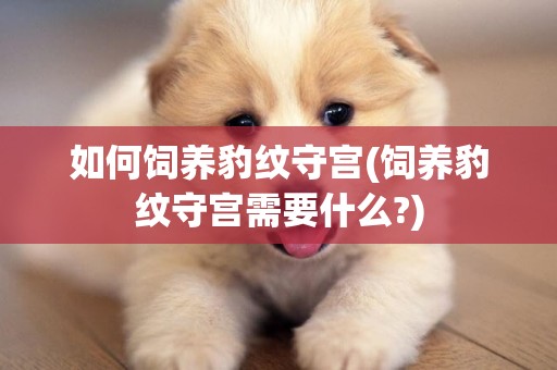 如何飼養豹紋守宮(飼養豹紋守宮需要什么?)