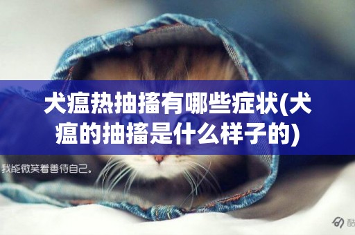 犬瘟熱抽搐有哪些癥狀(犬瘟的抽搐是什么樣子的)