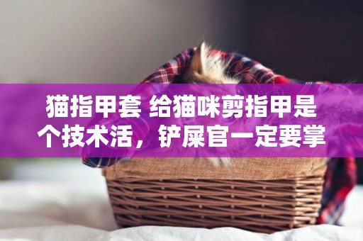 貓指甲套 給貓咪剪指甲是個技術活，鏟屎官一定要掌握剪指甲的“秘籍” 