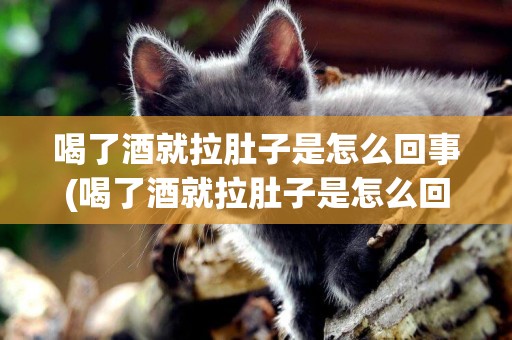 喝了酒就拉肚子是怎么回事(喝了酒就拉肚子是怎么回事吃什么藥)