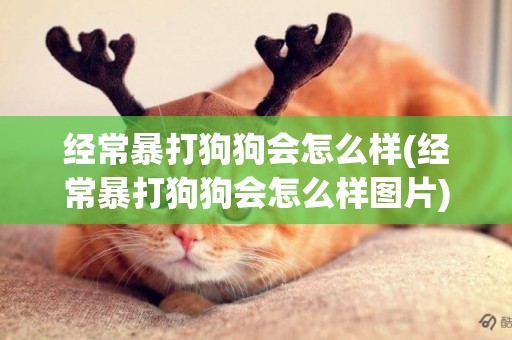 經常暴打狗狗會怎么樣(經常暴打狗狗會怎么樣圖片)