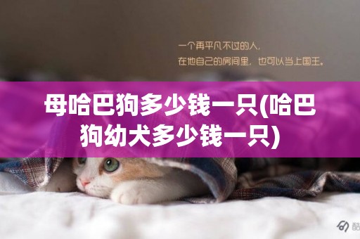 母哈巴狗多少錢一只(哈巴狗幼犬多少錢一只)
