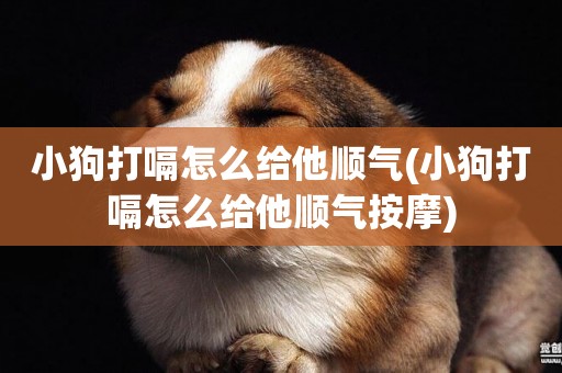 小狗打嗝怎么給他順氣(小狗打嗝怎么給他順氣按摩)