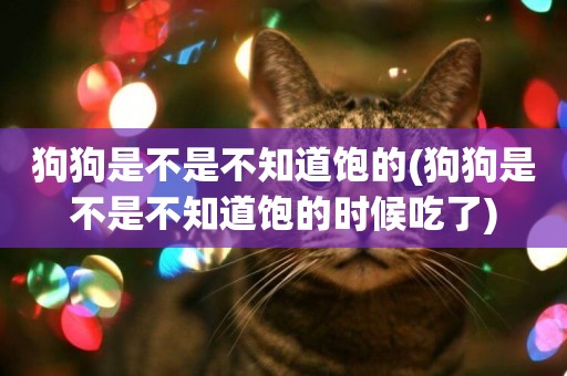 狗狗是不是不知道飽的(狗狗是不是不知道飽的時候吃了)