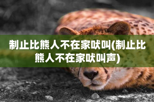 制止比熊人不在家吠叫(制止比熊人不在家吠叫聲)