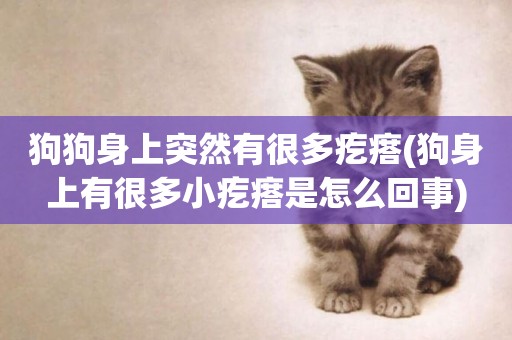 狗狗身上突然有很多疙瘩(狗身上有很多小疙瘩是怎么回事)