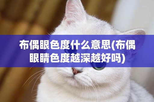 布偶眼色度什么意思(布偶眼睛色度越深越好嗎)