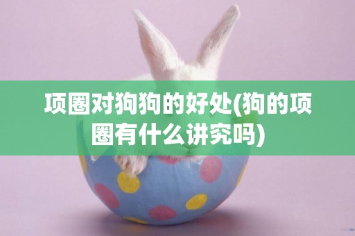 項圈對狗狗的好處(狗的項圈有什么講究嗎)