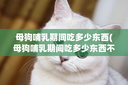 母狗哺乳期間吃多少東西(母狗哺乳期間吃多少東西不會胖)
