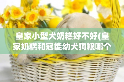 皇家小型犬奶糕好不好(皇家奶糕和冠能幼犬狗糧哪個好)