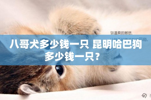 八哥犬多少錢一只 昆明哈巴狗多少錢一只？ 