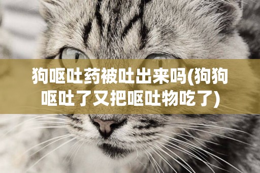 狗嘔吐藥被吐出來嗎(狗狗嘔吐了又把嘔吐物吃了)