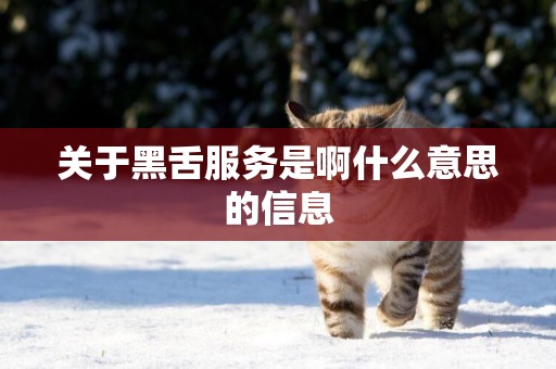 關于黑舌服務是啊什么意思的信息