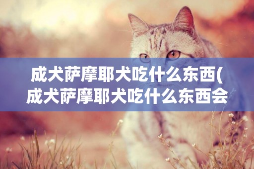 成犬薩摩耶犬吃什么東西(成犬薩摩耶犬吃什么東西會胖)