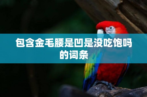 包含金毛腰是凹是沒吃飽嗎的詞條