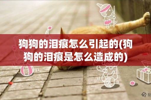 狗狗的淚痕怎么引起的(狗狗的淚痕是怎么造成的)