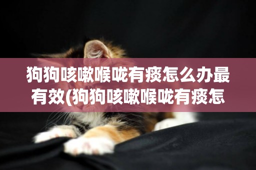 狗狗咳嗽喉嚨有痰怎么辦最有效(狗狗咳嗽喉嚨有痰怎么辦最有效的藥)