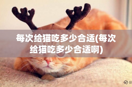 每次給貓吃多少合適(每次給貓吃多少合適啊)