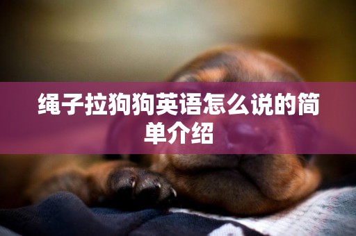 繩子拉狗狗英語怎么說的簡單介紹