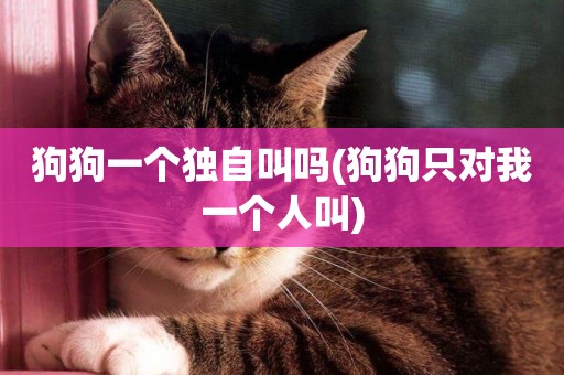 狗狗一個獨自叫嗎(狗狗只對我一個人叫)