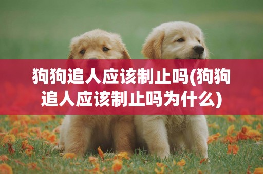狗狗追人應該制止嗎(狗狗追人應該制止嗎為什么)