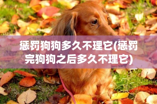 懲罰狗狗多久不理它(懲罰完狗狗之后多久不理它)